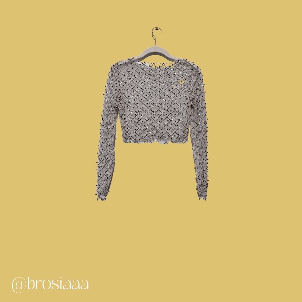 Sheer Mesh Sequined Crop Top